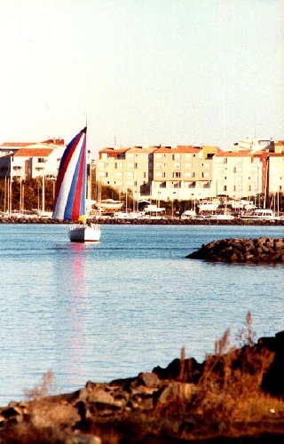 1980 bateau sous spi par A. Galvani