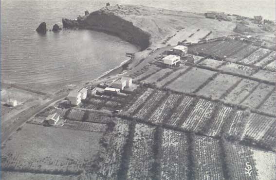 La Grande Conque et ses vignes