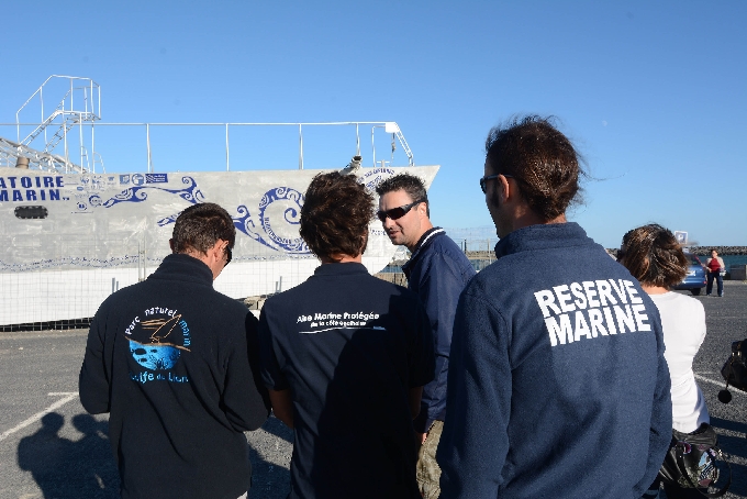 Formation pour le suivi et la conservation des cétacés en Méditerranée par RDGR