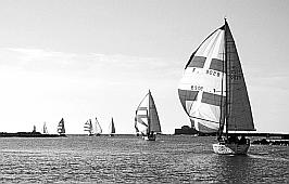 601_O904MAR.jpg