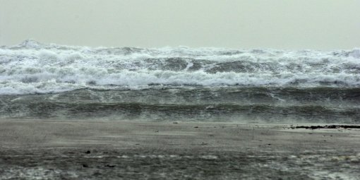ML01240812.jpg