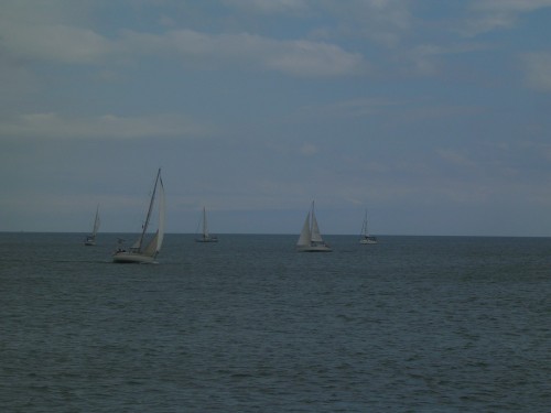ML02220611.jpg