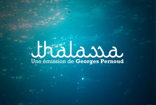 Nouveau_logo_thalassa.jpg